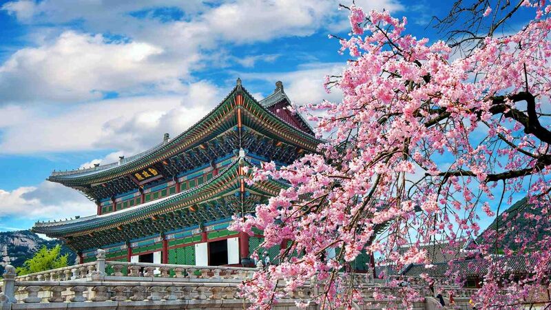 JAPONYA – KORE KURBAN BAYRAMI ÖZEL