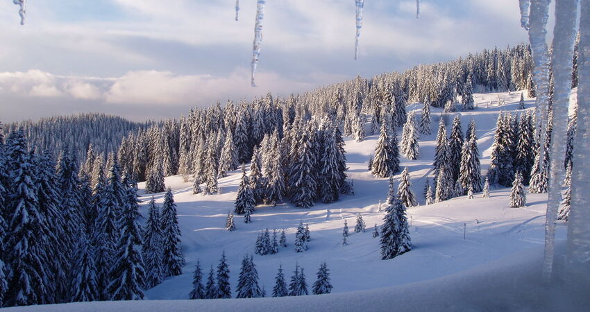Otobüslü Bulgaristan Kar Keyfi Turu (Pamporovo Bansko Kayak Merkezleri)