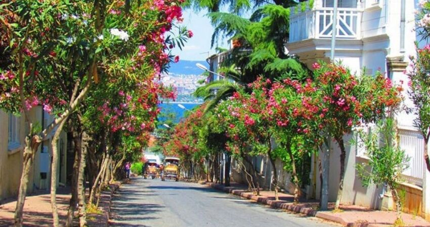 İstanbul Şile Ağva`lı Kültür ve Keyif Turu (Sezon ve Bayramlar 2 Gece Konaklamalı)