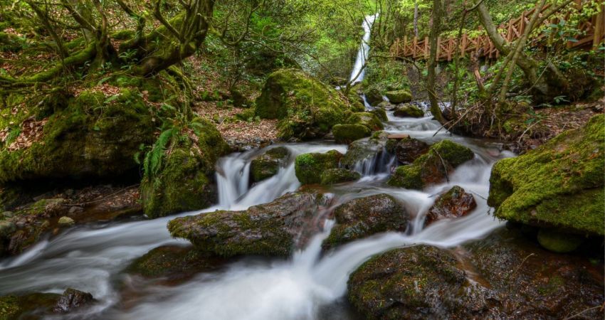 Göllerden Falezlere: Batı Karadeniz Esintisi Abant, Gölcük, Safranbolu, Zonguldak, Düzce
