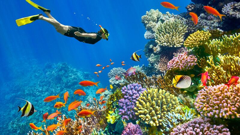 Kahire & Sharm Turu İzmir'den (RAMAZAN BAYRAMI ÖZEL)