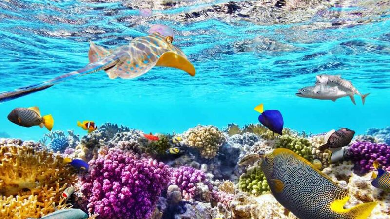 Kahire & Sharm Turu İzmir'den (RAMAZAN BAYRAMI ÖZEL)